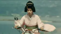 Backdrop to the movie "Turtle Geisha" #799153