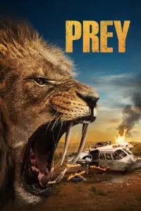 Poster to the movie "Prey" #954410