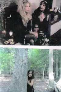 Poster to the movie "Little Witch II" #895751