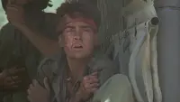 Backdrop to the movie "Platoon" #726522