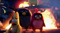 Backdrop to the movie "The Angry Birds Movie" #742646