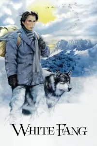 Poster to the movie "White Fang" #1089022