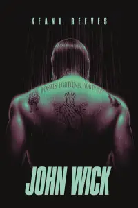 Poster to the movie "John Wick" #903242