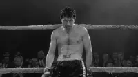 Backdrop to the movie "Raging Bull" #753978
