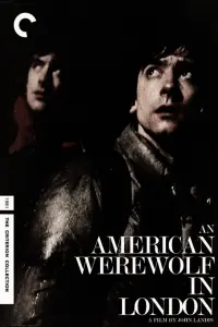 Poster to the movie "An American Werewolf in London" #754494