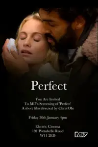 Poster to the movie "Perfect" #728338