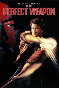 Poster to the movie "The Perfect Weapon" #152653