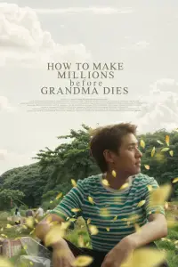 Poster to the movie "How To Make Millions Before Grandma Dies" #609400