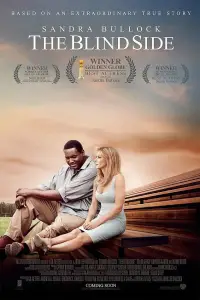 Poster to the movie "The Blind Side" #618762