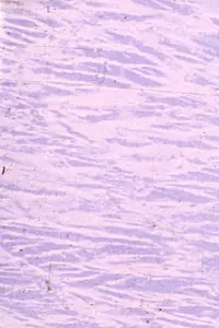 Poster to the movie "Angels