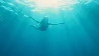 Backdrop to the movie "How I Learned to Fly" #794587