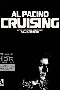 Poster to the movie "Cruising" #971739