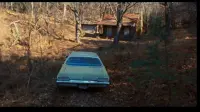 Backdrop to the movie "The Evil Dead" #791992