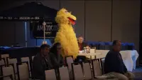 Backdrop to the movie "The 11th Annual On Cinema Oscar Special LIVE from AmatoCon" #705078