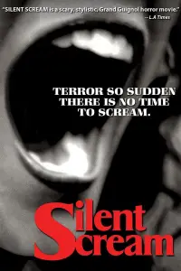 Poster to the movie "Silent Scream" #967393