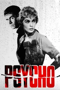 Poster to the movie "Psycho" #912587