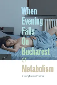 Poster to the movie "When Evening Falls on Bucharest or Metabolism" #1133864
