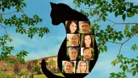 Backdrop to the movie "All Because of the Cat" #829942