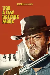 Poster to the movie "For a Few Dollars More" #927009