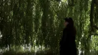 Backdrop to the movie "Que reste-t-il de nous ?" #798193