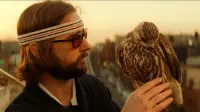 Backdrop to the movie "The Royal Tenenbaums" #806084