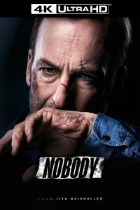 Poster to the movie "Nobody" #904463