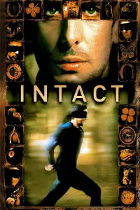 Poster to the movie "Intacto" #1206545