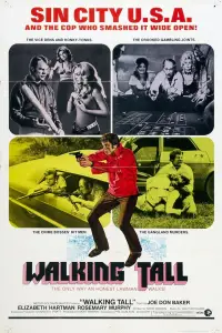 Poster to the movie "Walking Tall" #985939