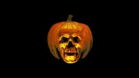 Backdrop to the movie "Halloween II" #709006