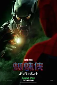 Poster to the movie "Spider-Man: No Way Home" #1015716