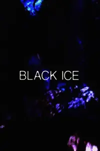Poster to the movie "Black Ice" #1045884