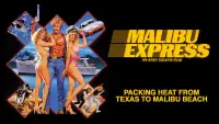 Backdrop to the movie "Malibu Express" #622975