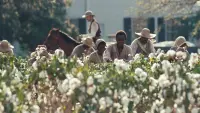 Backdrop to the movie "12 Years a Slave" #767463
