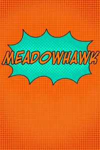 Poster to the movie "Meadowhawk" #914199