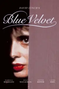 Poster to the movie "Blue Velvet" #910911