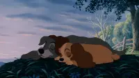 Backdrop to the movie "Lady and the Tramp" #854516
