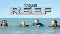 Backdrop to the movie "The Reef" #1110059