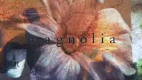Backdrop to the movie "Magnolia" #725793