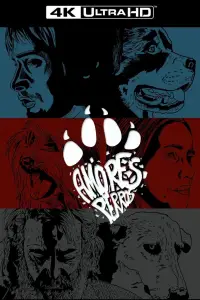 Poster to the movie "Amores Perros" #1059383