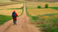 Backdrop to the movie "The Way, My Way" #731454