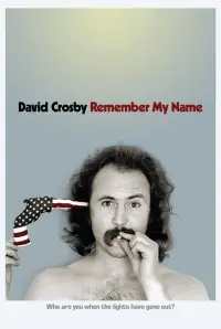 Poster to the movie "David Crosby: Remember My Name" #1002204