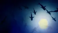 Backdrop to the movie "700 Sharks" #745662