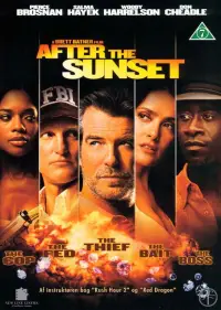 Poster to the movie "After the Sunset" #729106