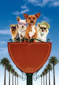 Poster to the movie "Beverly Hills Chihuahua" #780947