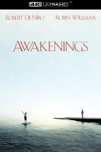Poster to the movie "Awakenings" #931797