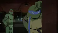 Backdrop to the movie "Batman vs Teenage Mutant Ninja Turtles" #782269