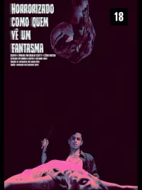 Poster to the movie "Horrorizado Como Quem Vê Um Fantasma" #470035