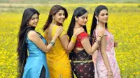 Backdrop to the movie "Nagavalli" #771798