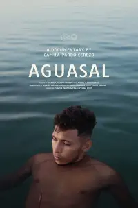 Poster to the movie "Aguasal" #889655