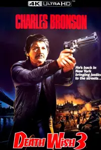 Poster to the movie "Death Wish 3" #1023170